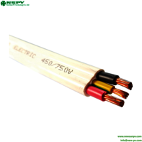 NSPV 2.5 mm Twin And Earth 2C And E Twin And Earth Cable