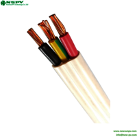 NSPV 2.5 mm Twin And Earth 2C And E Twin And Earth Cable