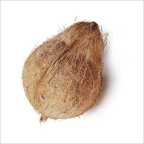 Brown Raw Coconut Shell, Packaging Type: Sack Bag at best price in Thrissur