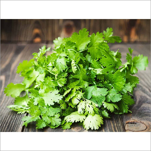 Coriander leaves in malay