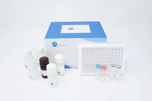 Ferritin Elisa Test System El1-1004