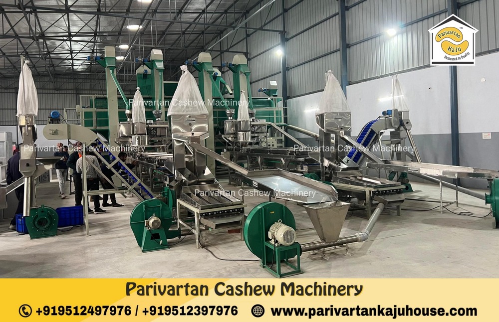 Full Automatic Cashew Processing nut Plant