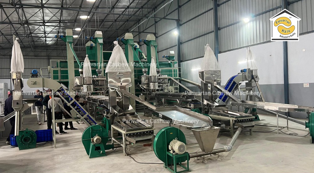 Full Automatic Cashew Processing Nut Plant - Advantage: Reduces Labor Cost