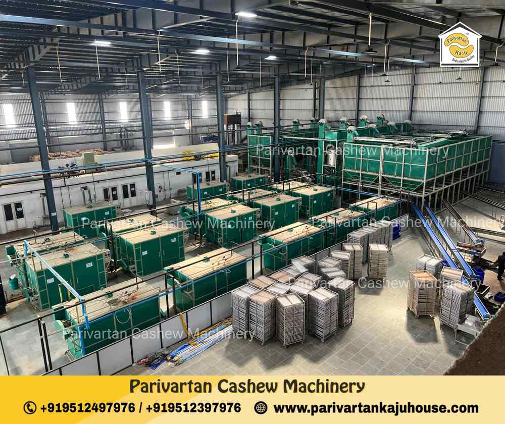 HI-TECH CASHEW PROCESSING PLANT SETUP