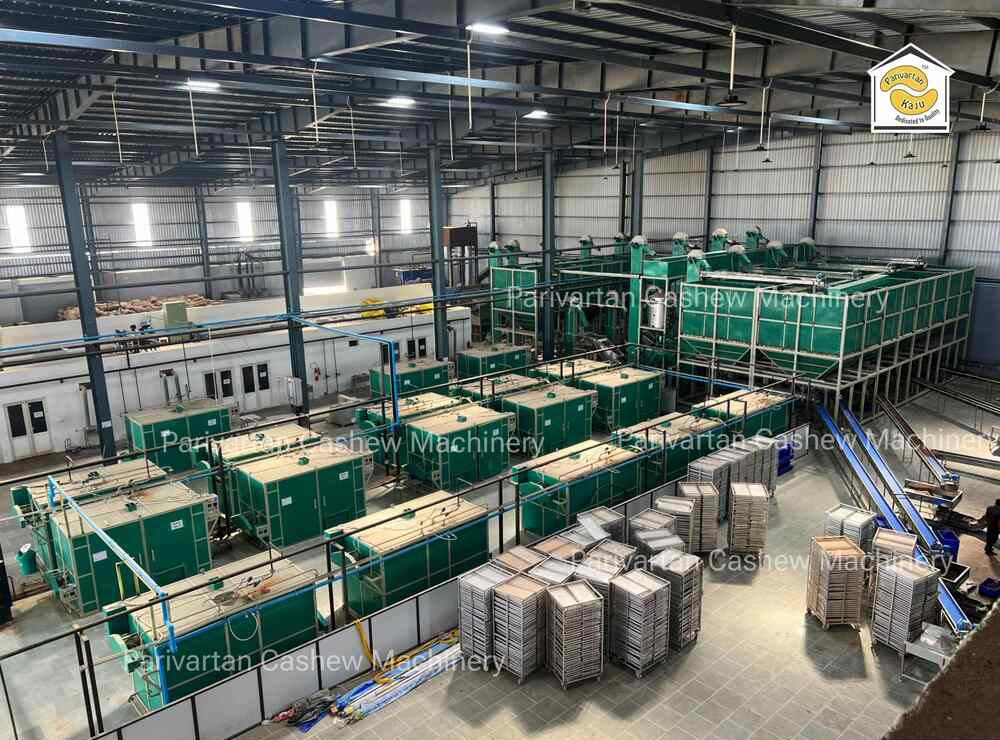 Hi-Tech Cashew Processing Plant Setup - Advantage: Reduces Manpower