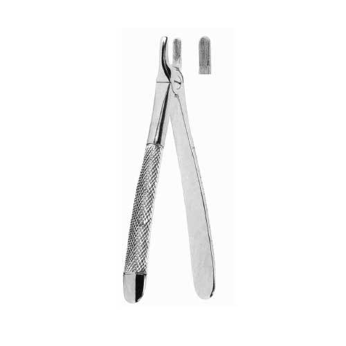 Upper Incisors