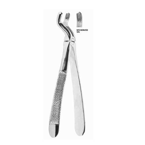 Upper Third Molars, Left