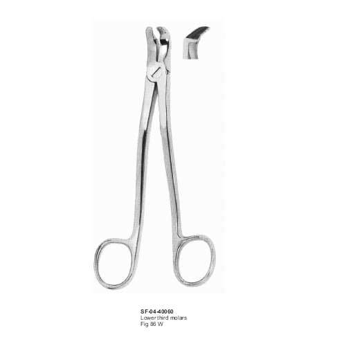 Lower Third Molars - Stainless Steel, 160 mm, Curved Jaw | Precise Grip, Easy Handling, Polished Finish, Autoclavable