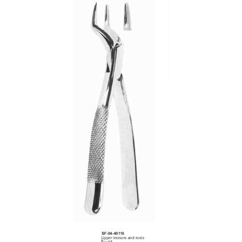 Upper Incisors And Roots