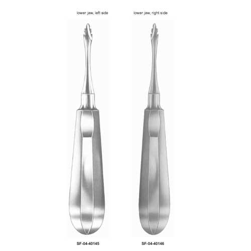 Lower Jaw, Left Side - Stainless Steel, 16cm, Octagonal Handle | Precise Extraction, Polished Finish, Sharp Tip