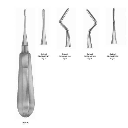 Apical Root Elevators