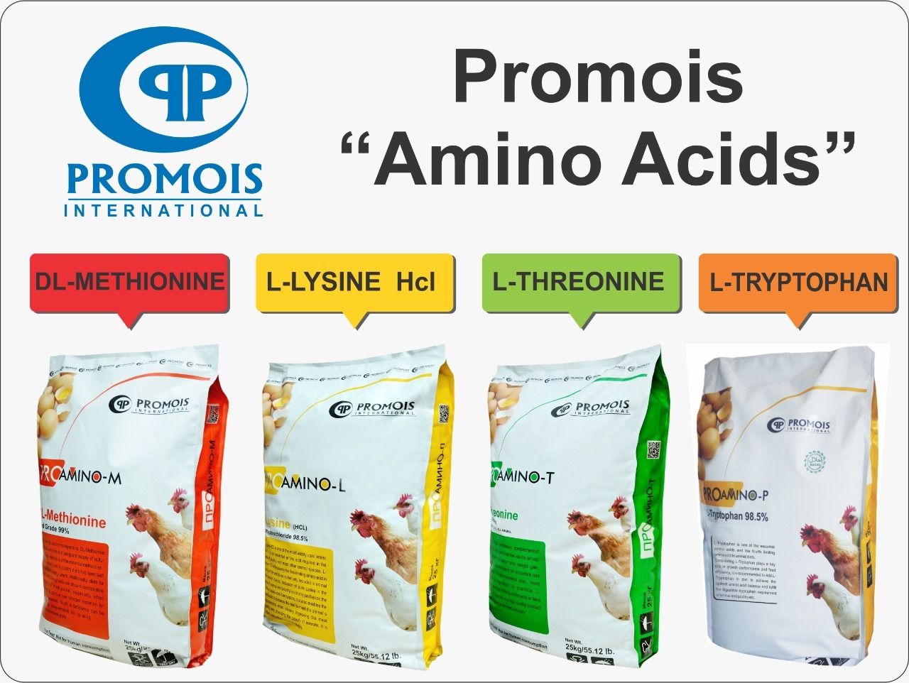 Arginine Amino Acid Powder