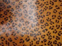 Leopard Print Hair on Hide Leather
