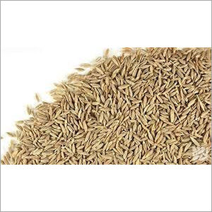 Cumin Seed