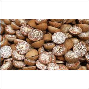 Betel Nuts By Fresh Trading Supply B.V.