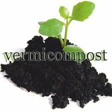Vermicopost Fertilizer