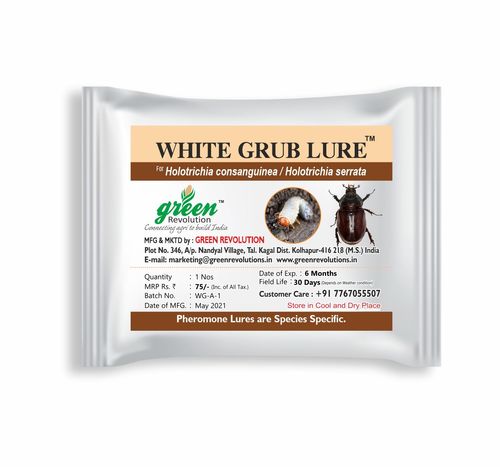 White Grub Lure
