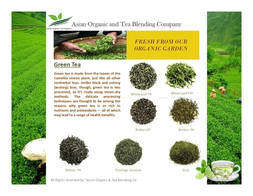 Organic Green Tea Whole Leaf
