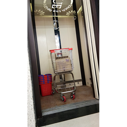 Hydraulic Goods Elevator