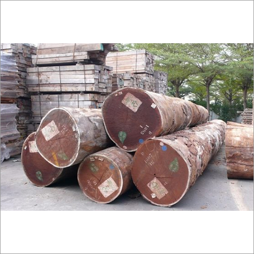 African Teak Wood Log (Afromosia)