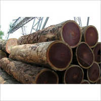 Azobe Wood Logs (Ekki)