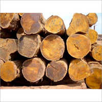 Bilinga Wood Logs