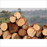 Black Limba (Frake) Wood Logs