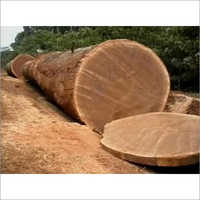 Bubinga Wood Logs