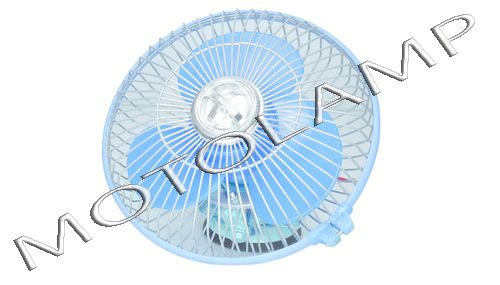 Coach Fan 8 Inches