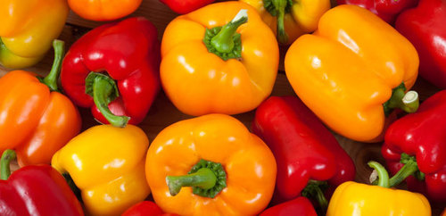 Bell Peppers By KAYNE BIO SCIENCES LIMITED