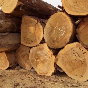 African Ekop Naga Logs