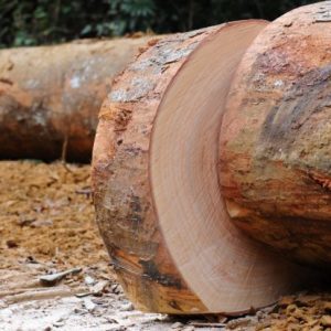 Okan Wood Logs