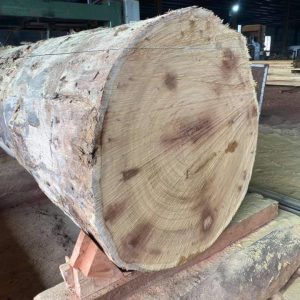 Buy Okoume Timber Online