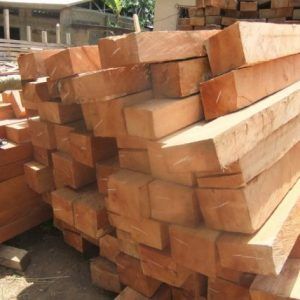 Maobi Sawn Timber