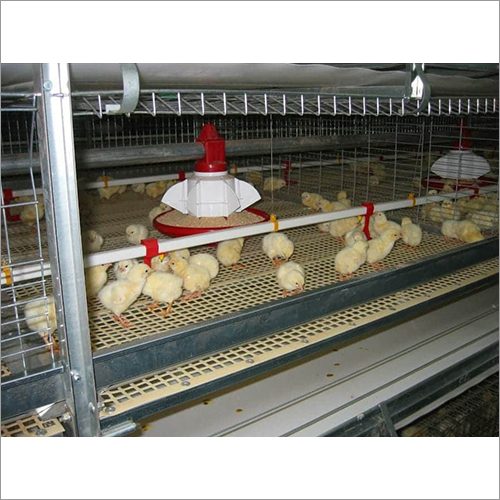 Broiler Cage  Floor System