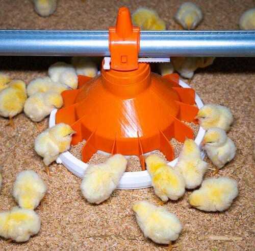 Automatic Feeding System - Feature: Complete Turnkey