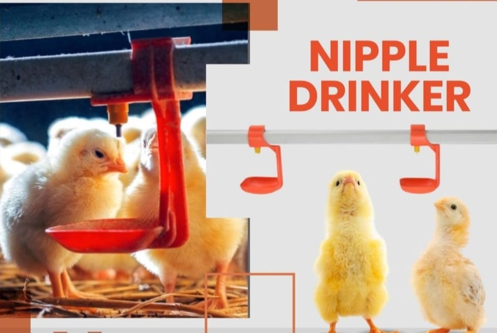 Poultry  Watering System