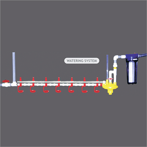 Poultry  Watering System