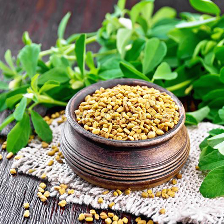 Fenugreek Seeds (Methi)