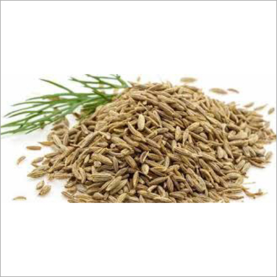 Cumin (Jeera)