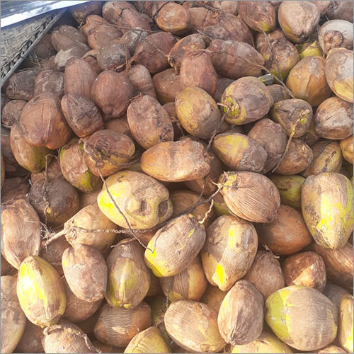 Natural Fresh Tender Coconut