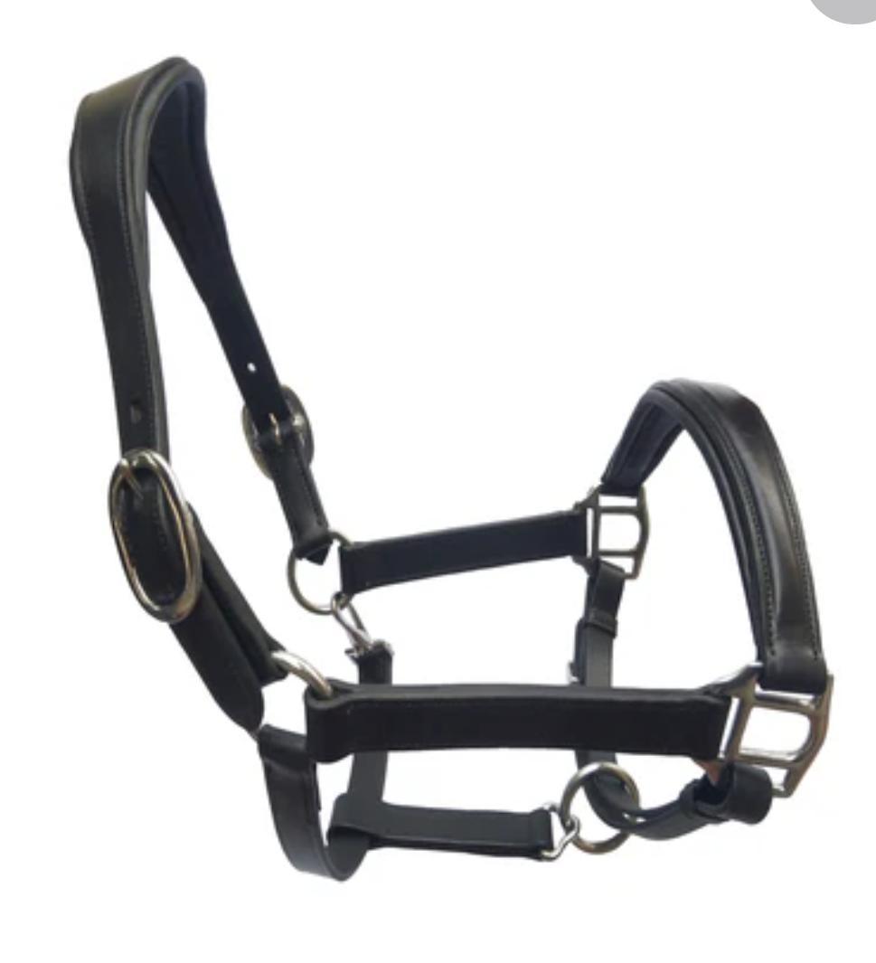 Leather Halter