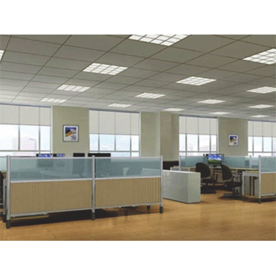 Fall Ceiling and Office Interior