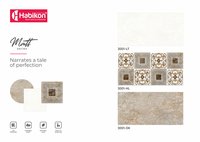 300*600 Mm Ceramic Interior Wall Tiles
