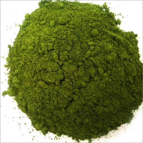 Coriander Leaf Powder