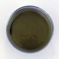 Nickel YSZ Anode Ink (NiYSZ)
