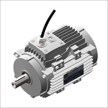 Industrial High Temperature Motor