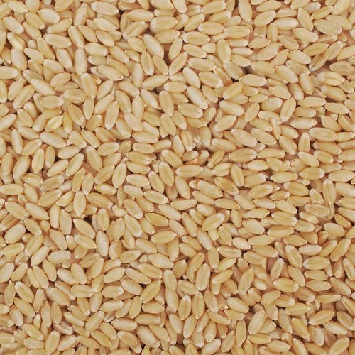 Dry Wheat