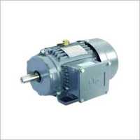 Crane and Hoist Duty Motors