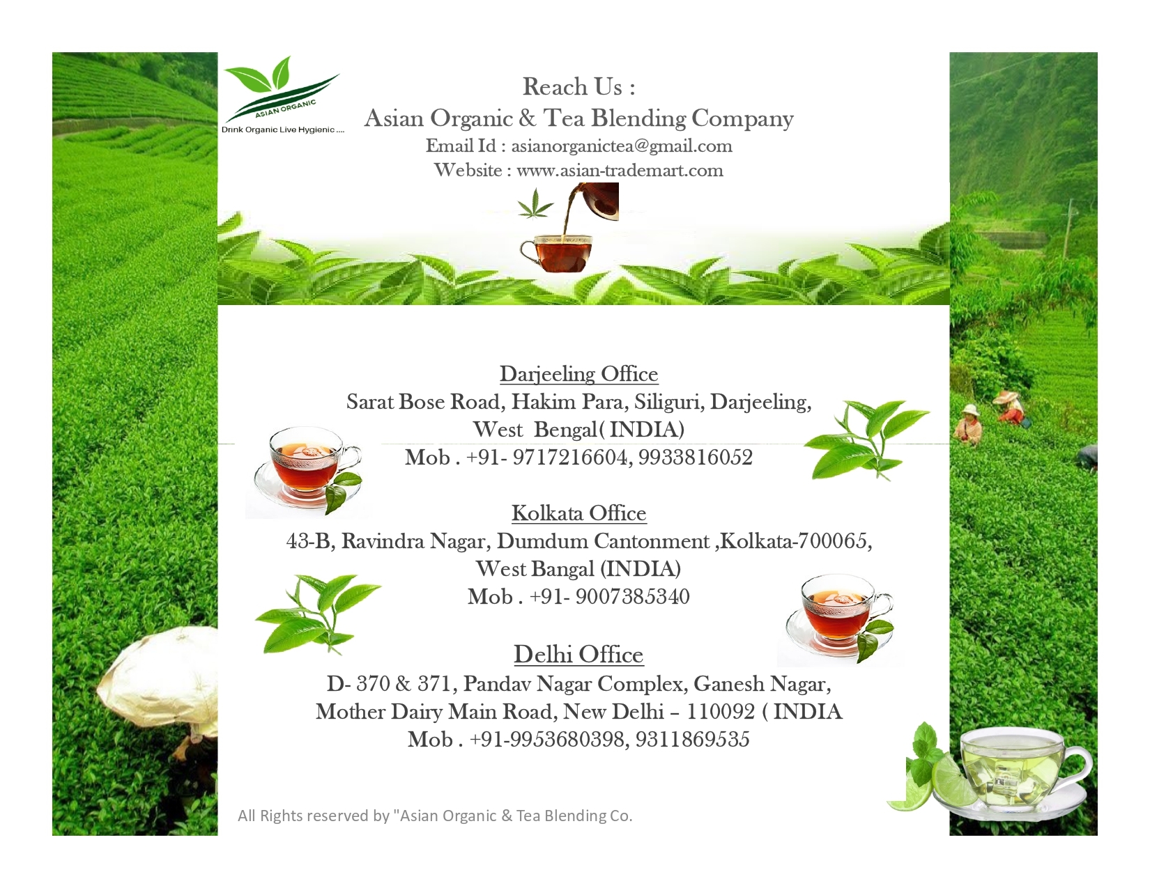 Organic Macha Tea